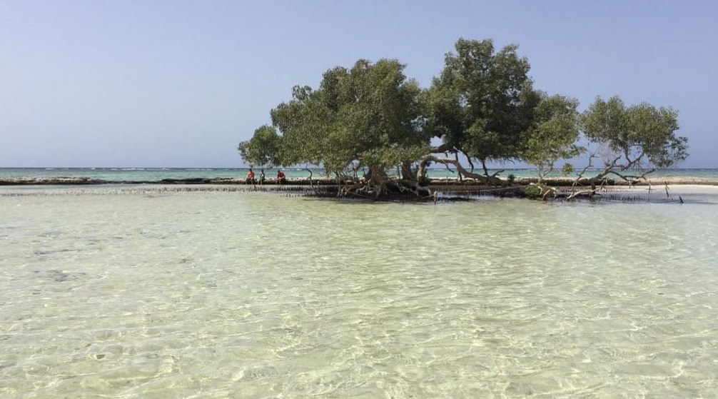 Ιδιωτικό ταξίδι στο wadi El Gemal από το Port Ghalib