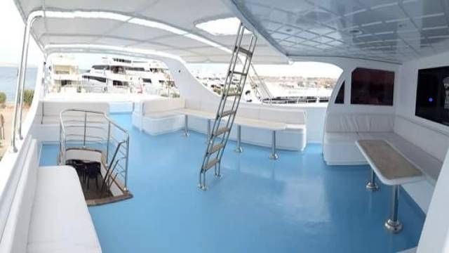 Ταξίδι με αναπνευστήρα Sataya Dolphin Reef από το Port Ghalib