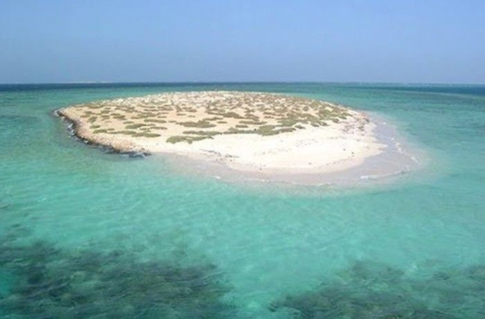 Excursiones de esnórquel desde Marsa Alam