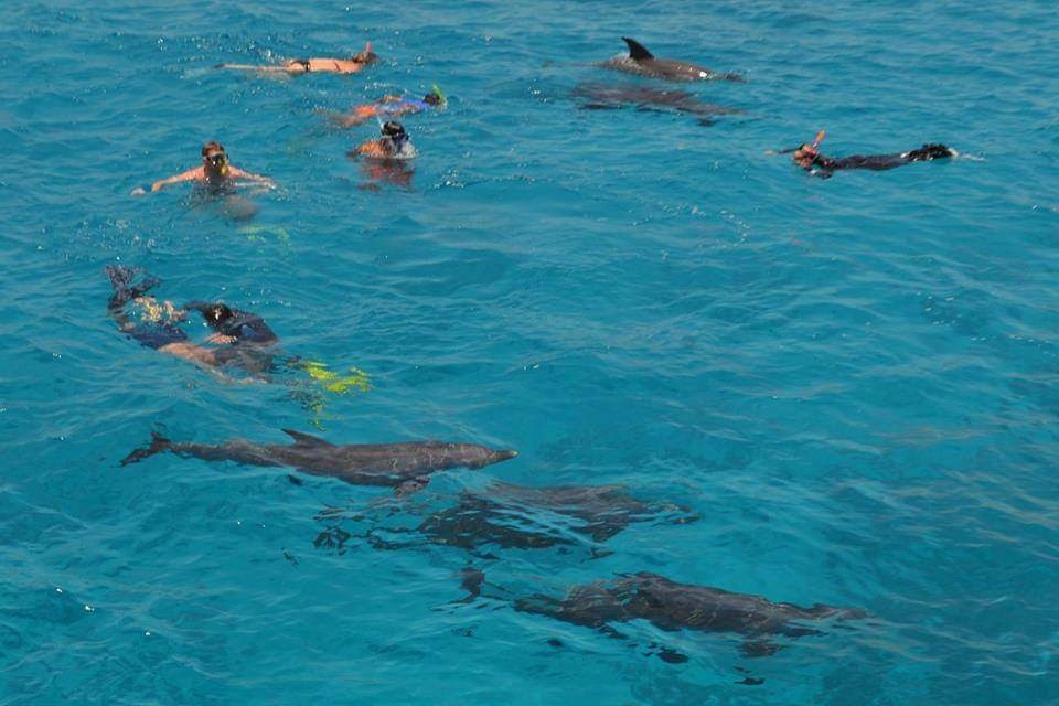 Excursiones de paseo en barco privado desde Hurghada
