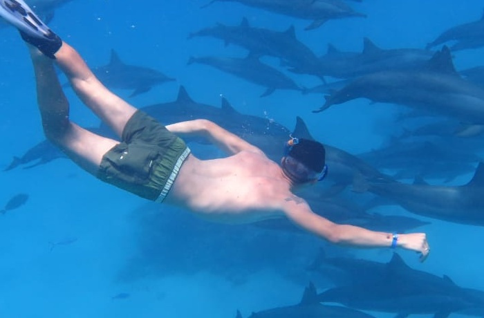 Excursiones de snorkel desde Portghalib