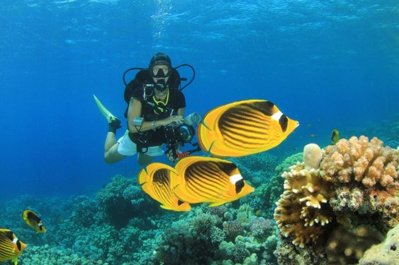 Excursión de buceo en Shaab Samadai desde Marsa Alam