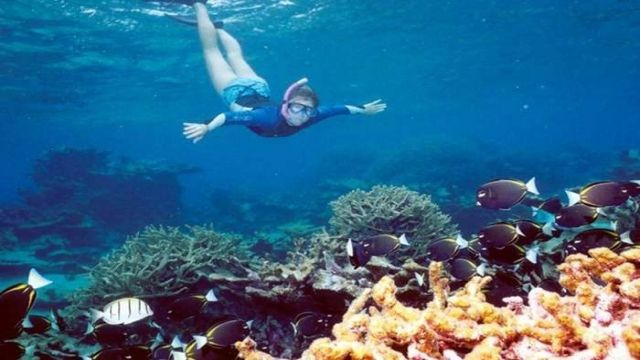 Marsa Mubarak excursión de snorkel desde Marsa Alam