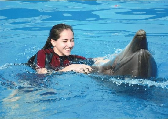 Nadar con delfines en El Gouna