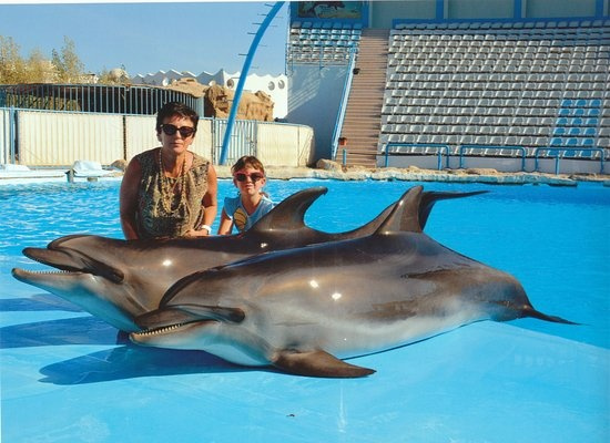 Nadar con los delfines en Sahl Hasheesh