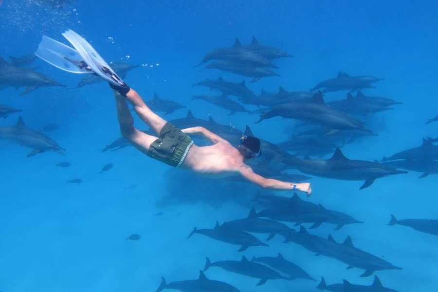 Tour de 14 días por Egipto, El Cairo, Desierto Blanco, crucero por el Nilo y Marsa Alam