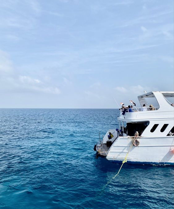 Tour de esnórquel en barco privado en Sharm El Sheikh