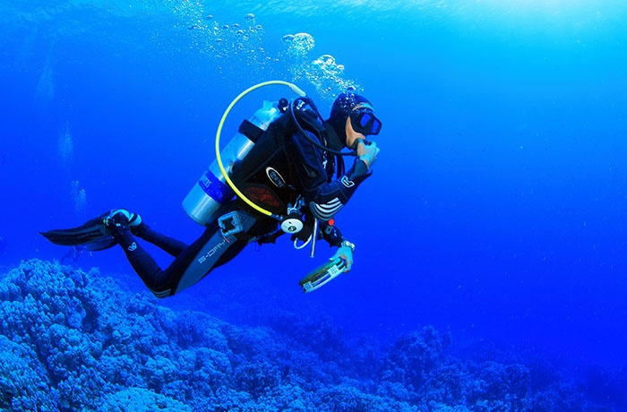 Tours de buceo desde Portghalib
