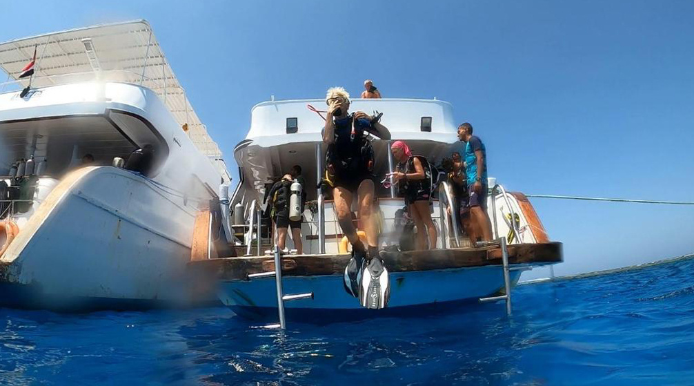 Excursion de plongée avec tuba au récif des dauphins de Sataya depuis Marsa Alam Excursion de plongée avec tuba au récif des dauphins de Sataya depuis Marsa Alam
