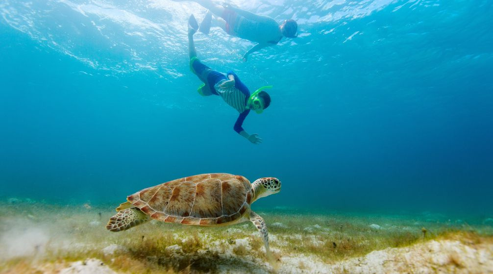 Excursion en bateau privé vers lîle de Hamata depuis Marsa Alam