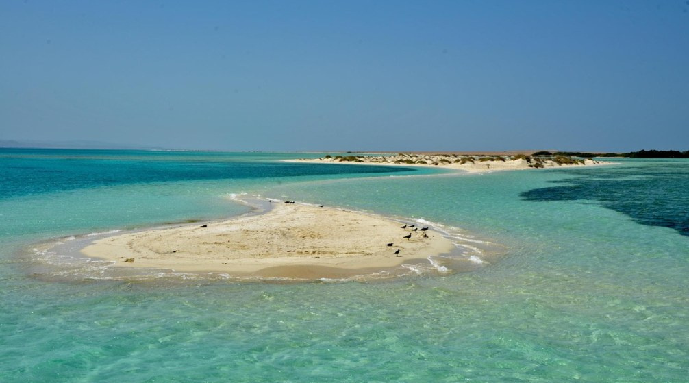 Excursion snorkeling à Sharm el Lulli et wadi El Qulaan depuis Marsa Alam