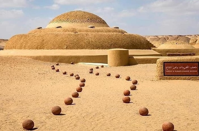 Excursions au Fayoum depuis le Caire