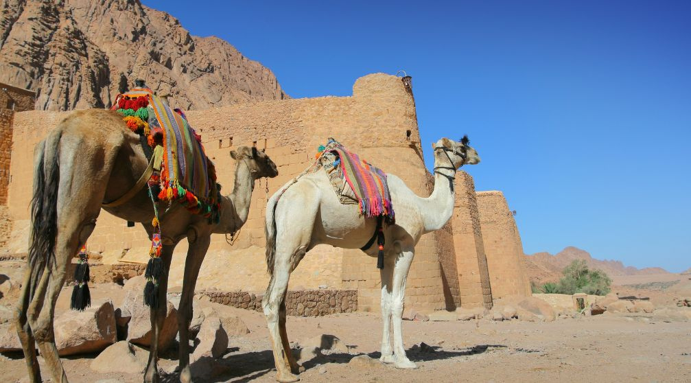 Excursions au mont Sinaï au départ du Caire