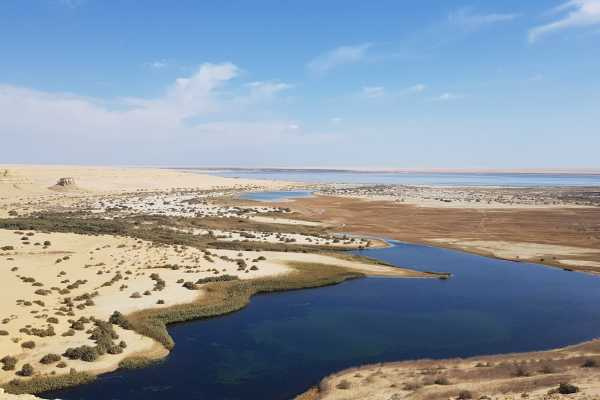 Excursions dans le désert dÉgypte