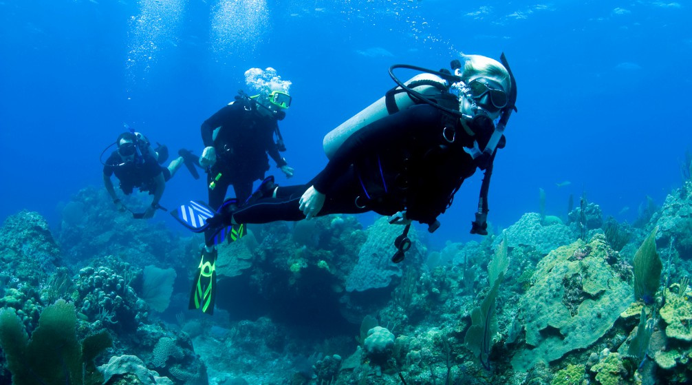 Shaab Samadai Excursion de plongée en apnée au départ de Port Ghalib