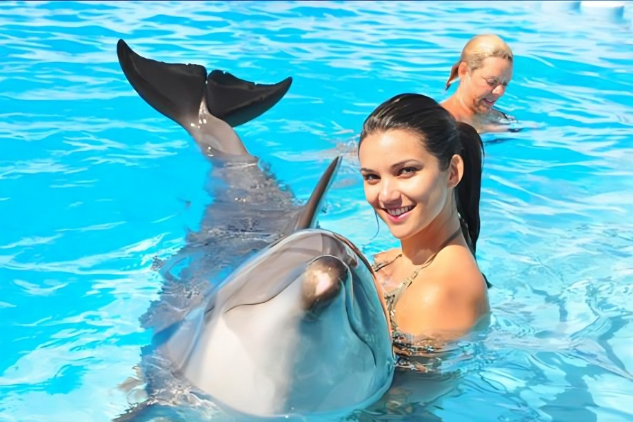 Excursion de plongée en apnée à la maison des dauphins au départ dHurghada