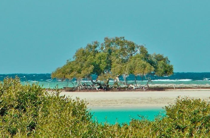 10η μέρα - Ελεύθερη μέρα στο Marsa Alam