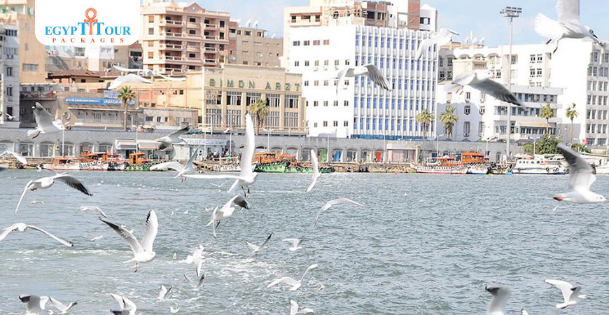 Excursiones en tierra en Port Said