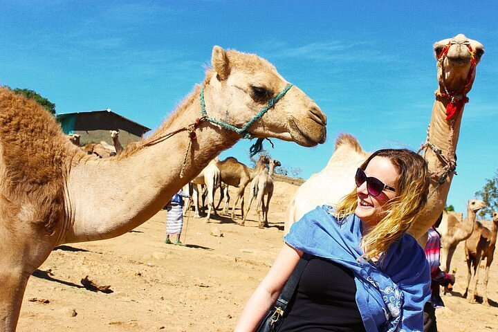 Birqash Camel Market tour from Cairo