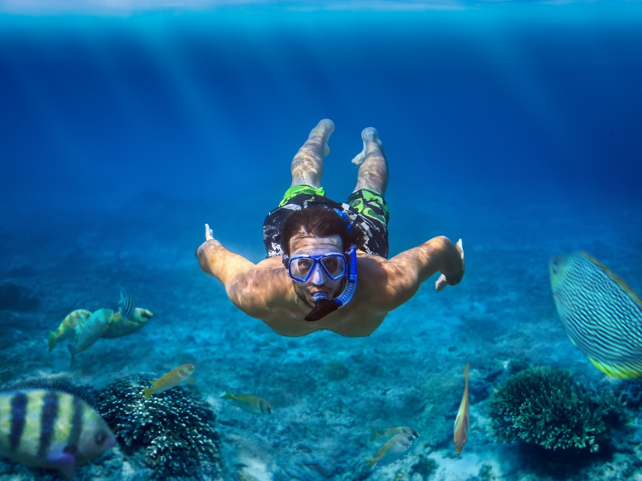 Shaab Samadai Snorkeling trip from El Quseir