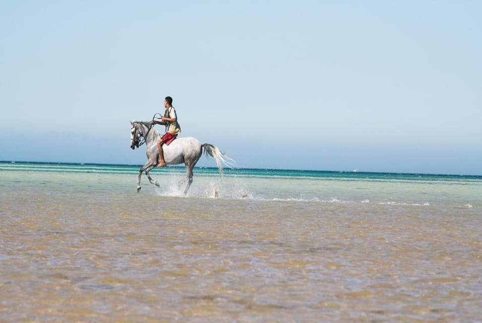Sunset Horse riding in Hurghada 2 hours by the desert and the Sea