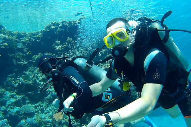 Tiran Island Diving Excursion from Sharm el Sheikh