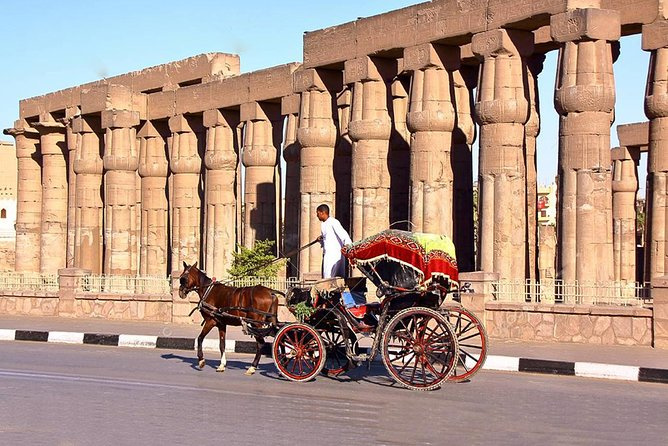 Escursione di 2 giorni a Luxor dal Cairo in volo