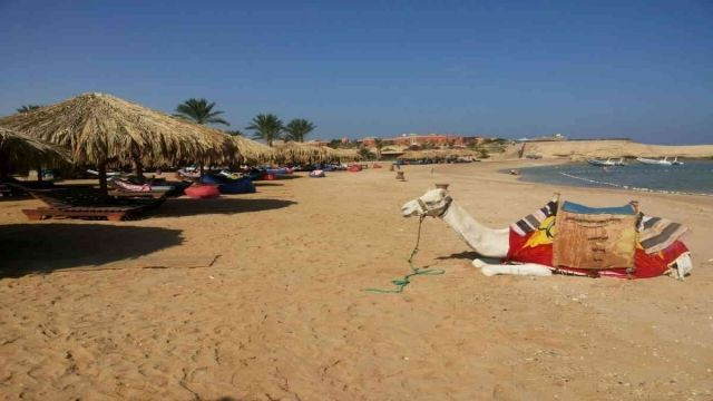 Escursione di snorkeling a Sharm el Naga da Hurghada