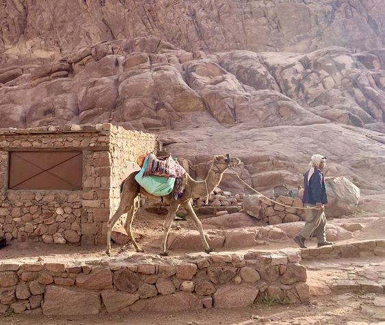 Tour del Monte Sinai dal Cairo