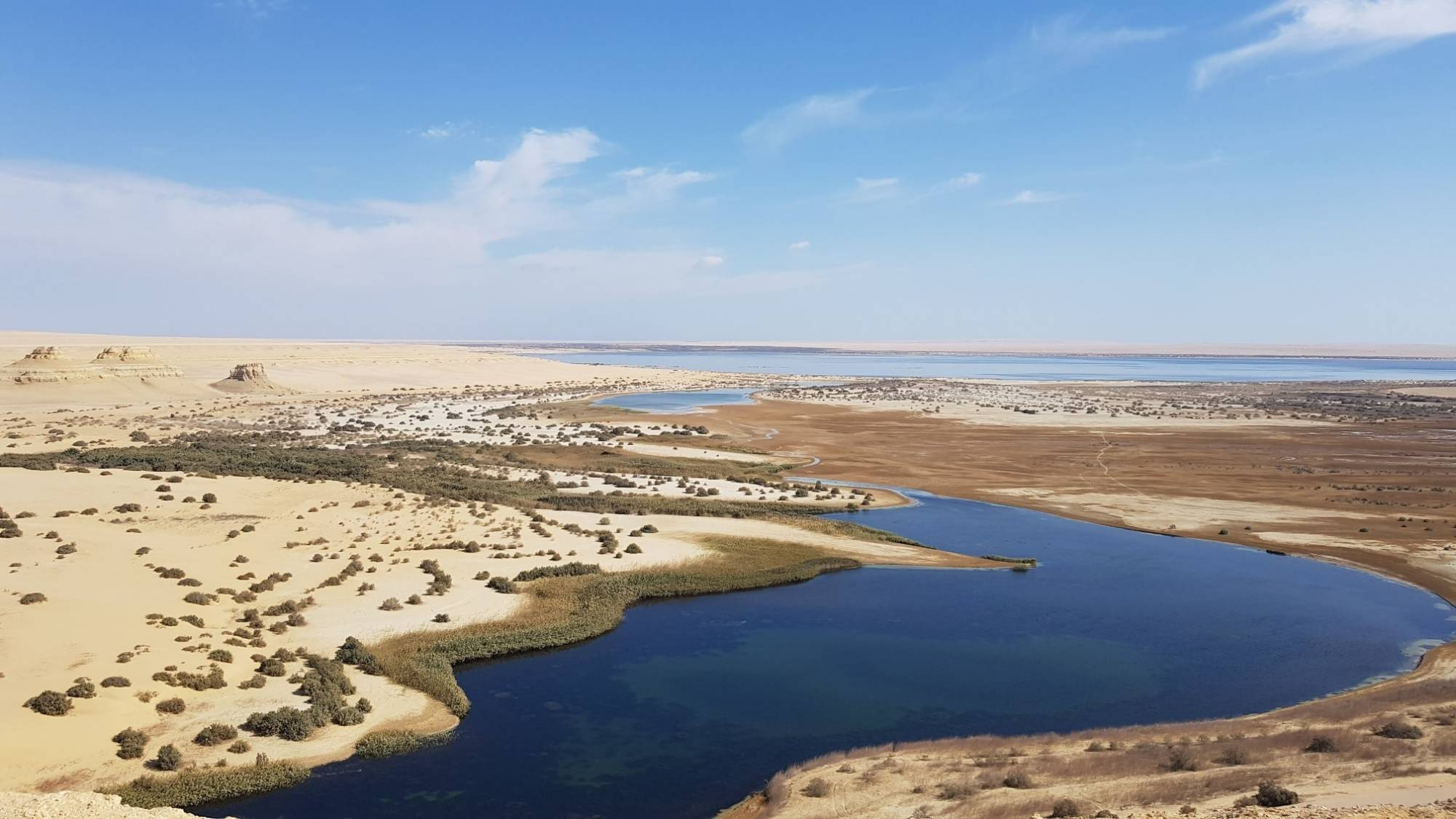Tour di 4 giorni nel deserto bianco e Wadi el Hitan Tour di 4 giorni nel deserto bianco e nel Wadi el Hitan dal Cairo