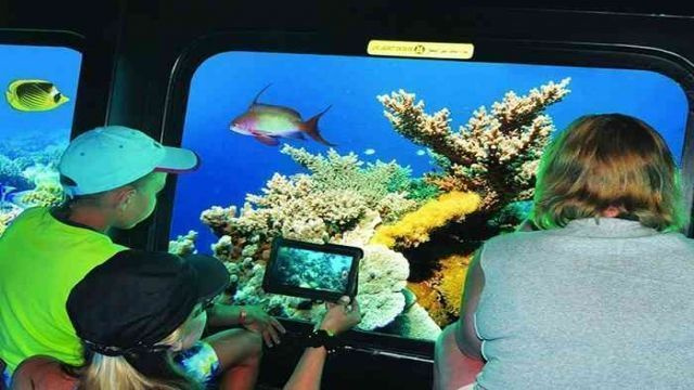 Escursione in barca Nefertari Seascope da Port Ghalib