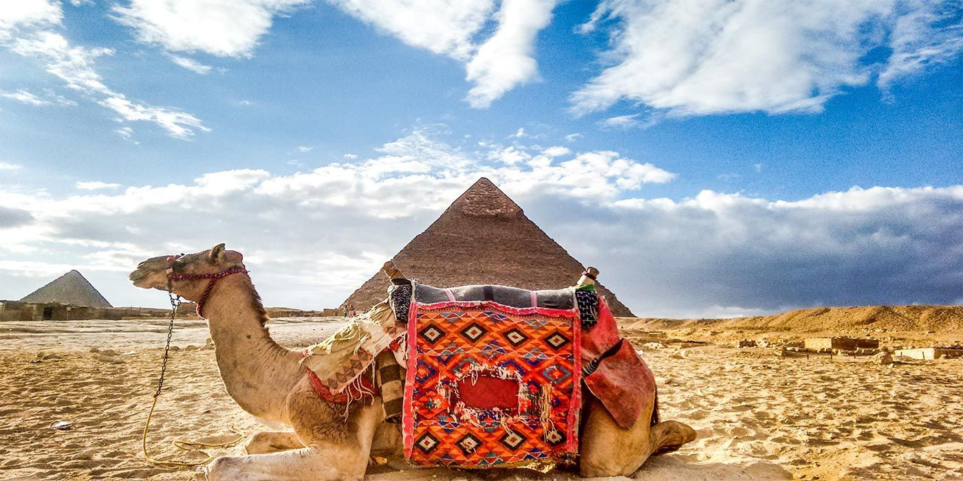 Tour di 2 giorni Il Cairo e Alessandria da Porto Said