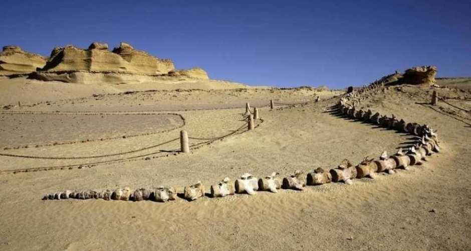 4-daagse reis door Egypte: de piramides en de Walvisvallei 4 daagse reis door Egypte: de piramides en de Walvisvallei