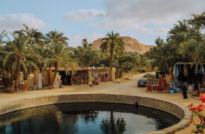 Excursies naar Siwa oase vanuit Cairo