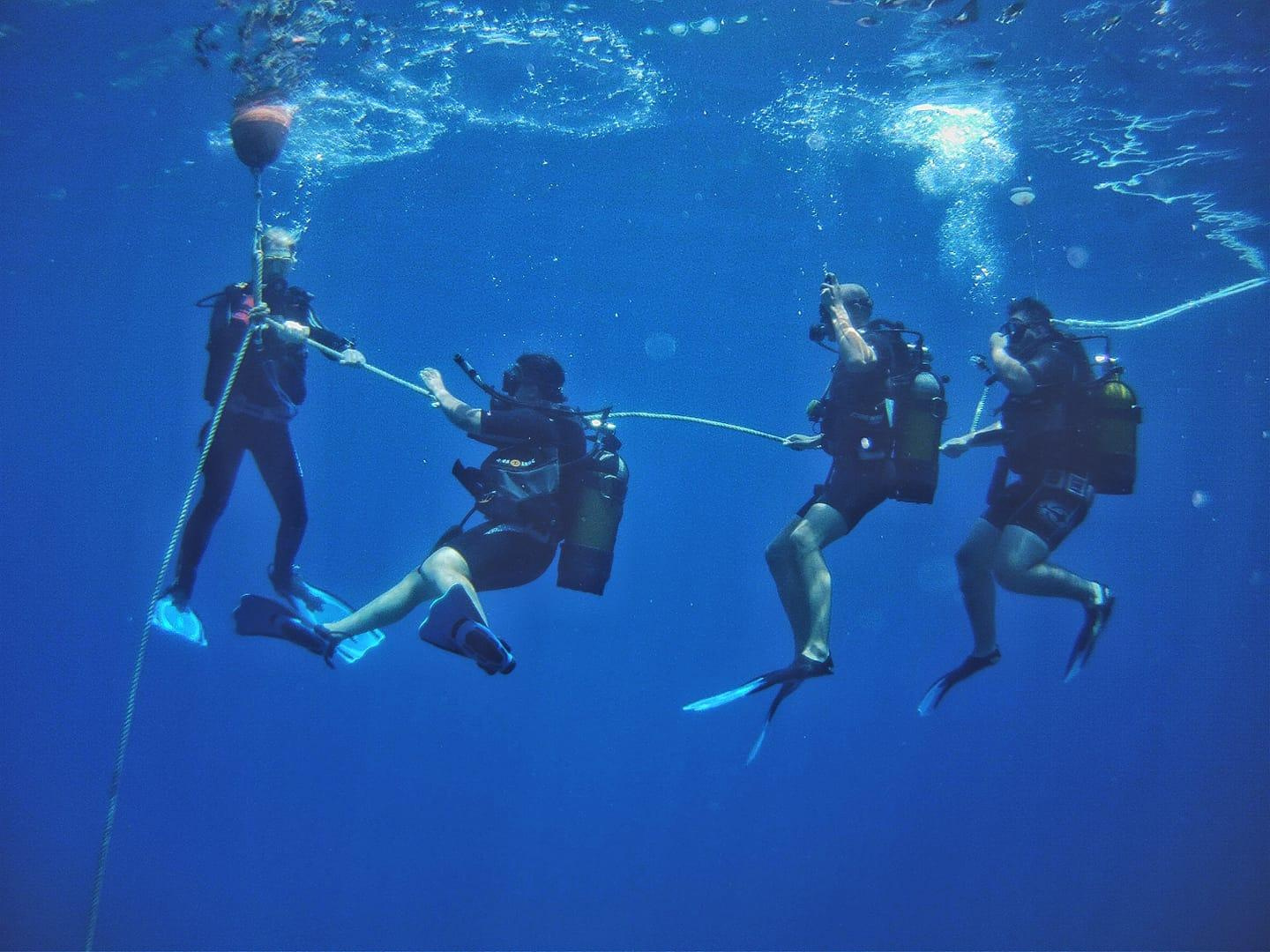 PADI duikcursus vanuit Portghalib