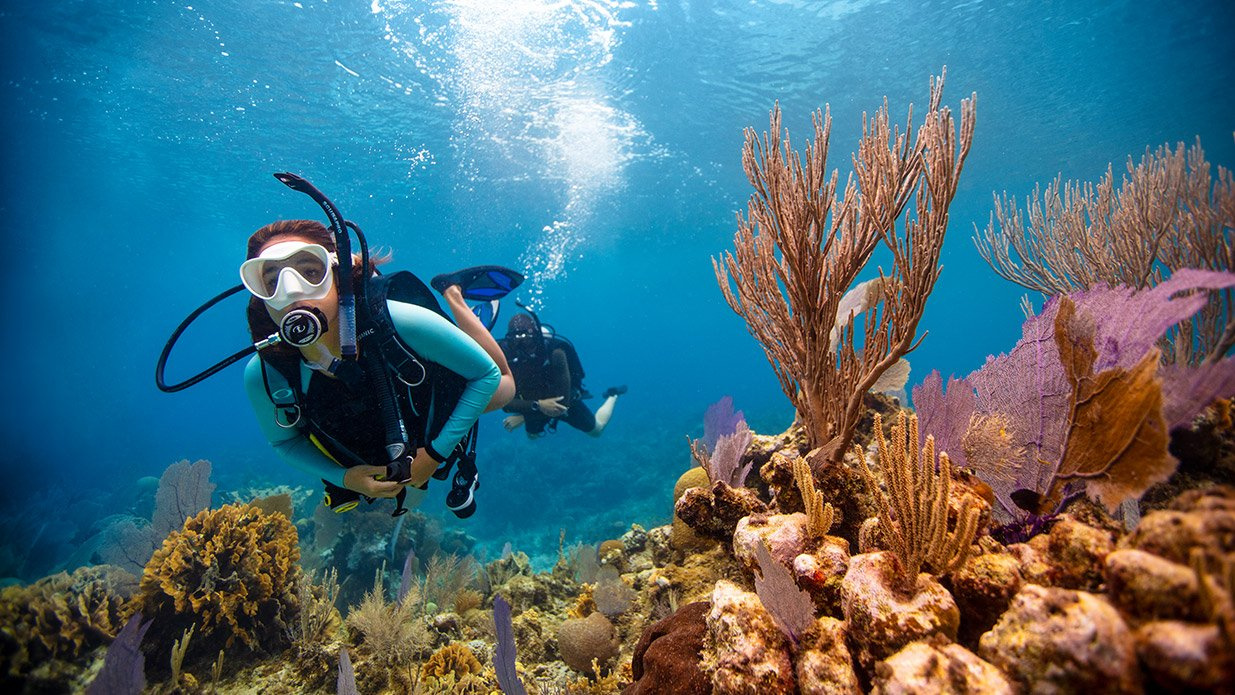 PADI duikcursus vanuit Portghalib