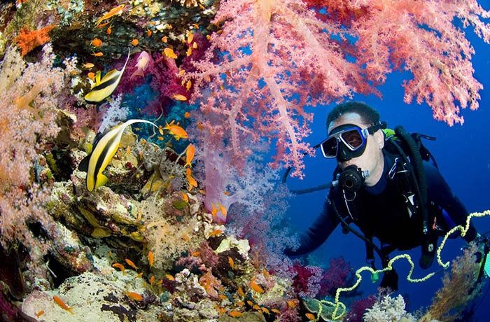 PADI duikcursus vanuit Portghalib