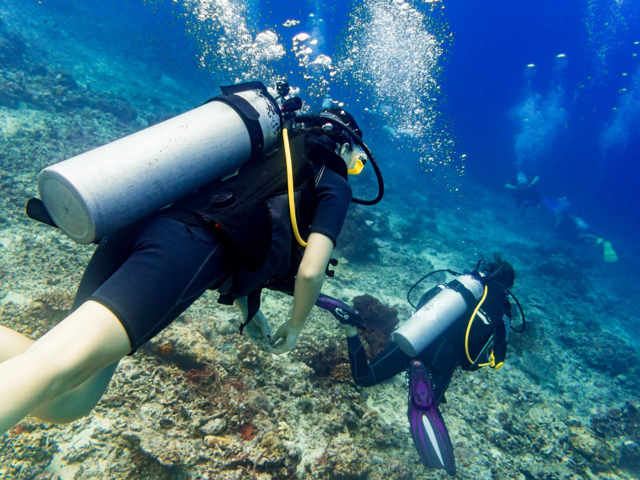 Marsa Mubarak Snorkeltrip vanuit Port Ghalib