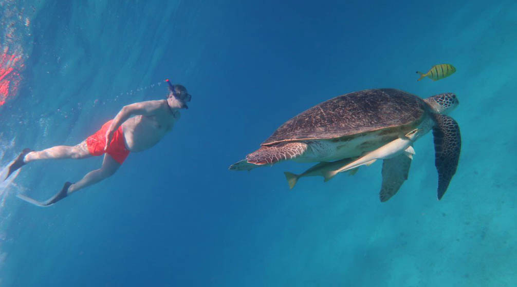 Jednodniowa wycieczka do Luksoru z Marsa Alam