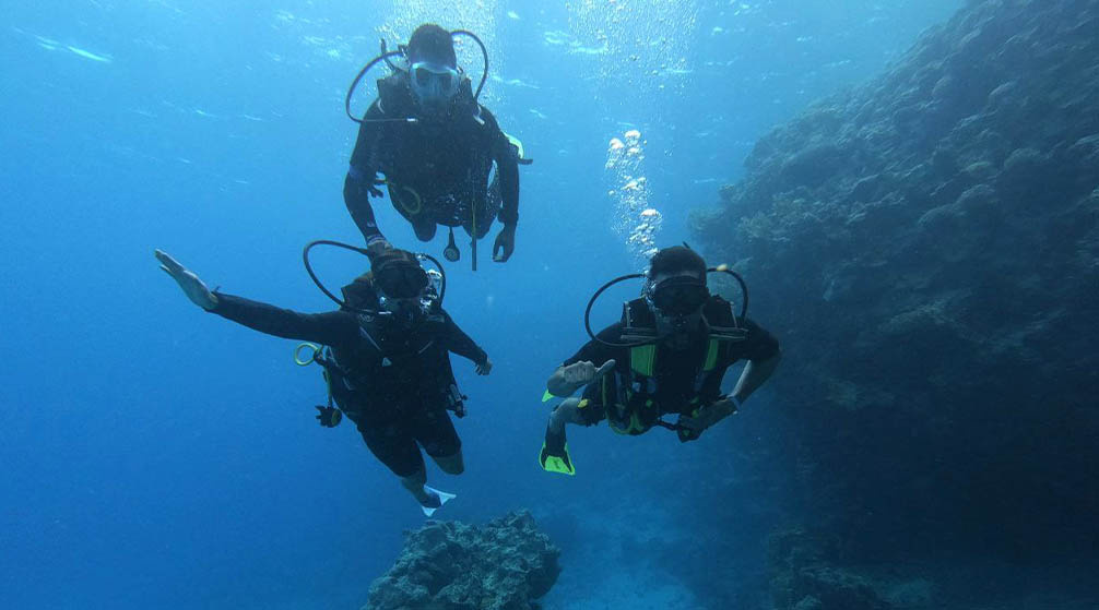 Wycieczka snorkelingowa na wyspy Hamata z Port Ghalib