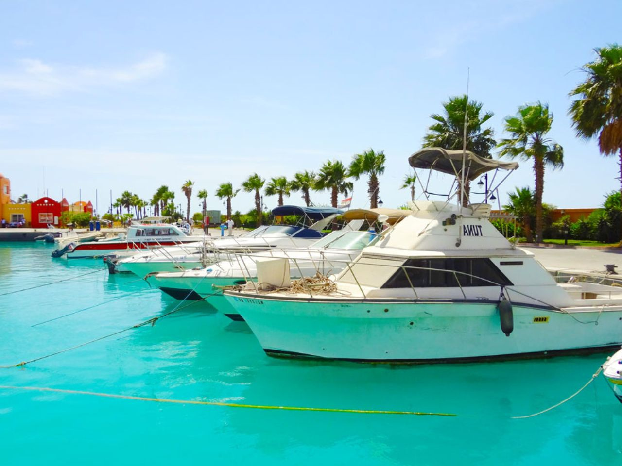 Wycieczka na zakupy do Port Ghalib z Marsa Alam