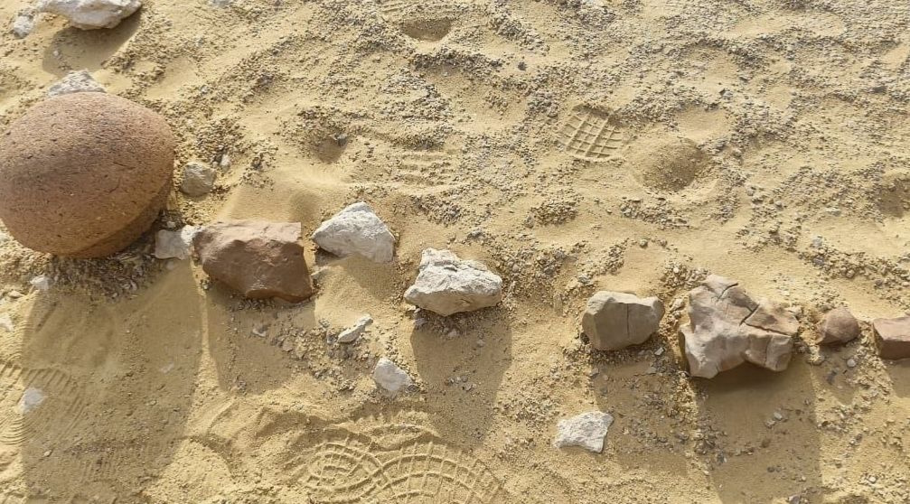 Excursão ao Wadi Al Hitan e ao Oásis de Fayoum saindo do Cairo