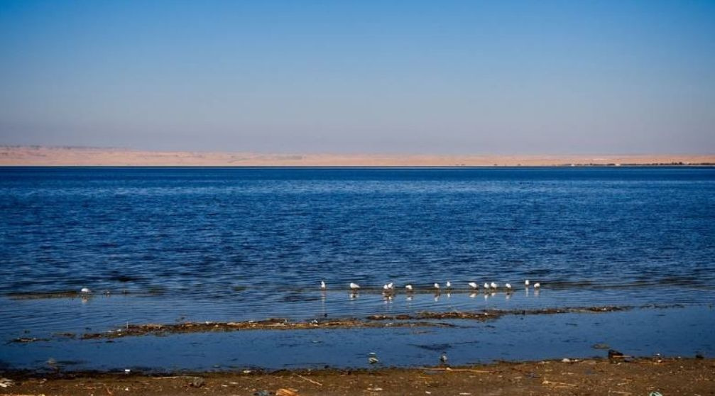 Excursão ao Wadi Al Hitan e ao Oásis de Fayoum saindo do Cairo
