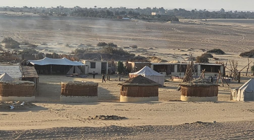 Excursão ao Wadi Al Hitan e ao Oásis de Fayoum saindo do Cairo