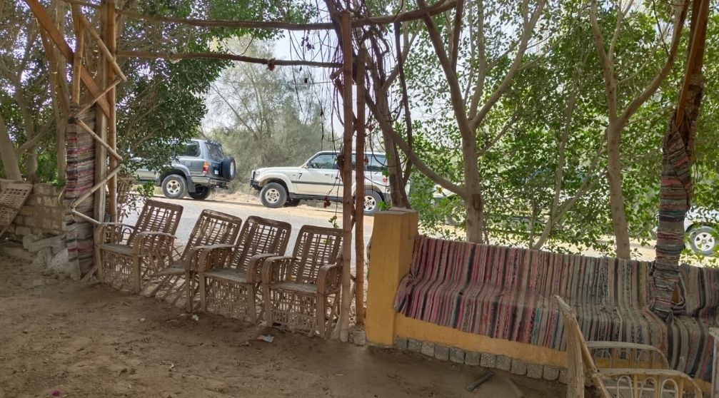 Excursão ao Wadi Al Hitan e ao Oásis de Fayoum saindo do Cairo