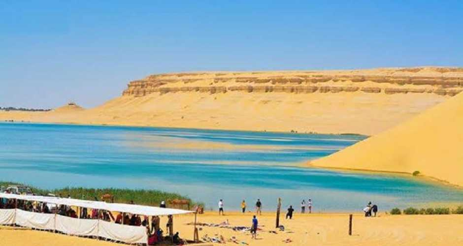 Excursie în valea balenelor din Cairo