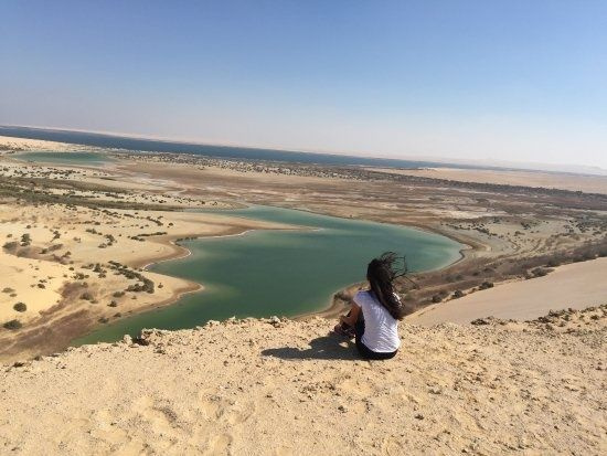 Excursie în valea balenelor din Cairo